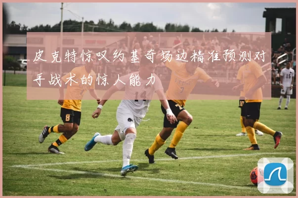 皮克特惊叹约基奇场边精准预测对手战术的惊人能力