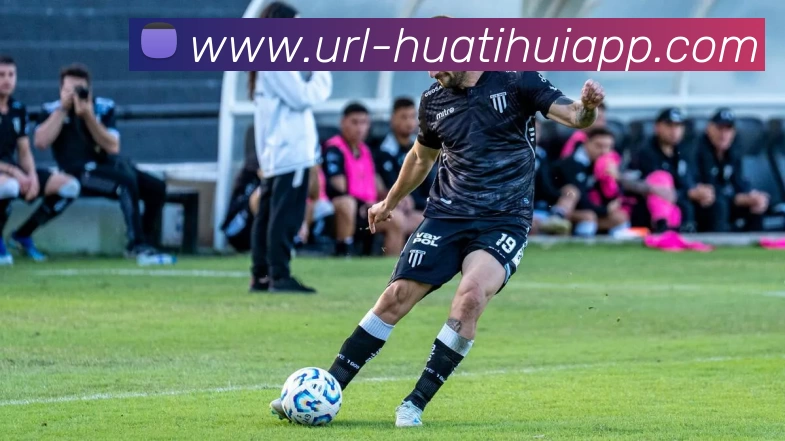 华体会体育平台生态图