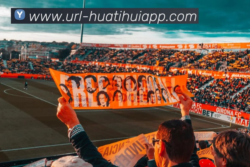 华体会体育APP 封面图